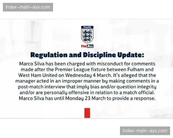 英足总就西汉姆联球迷种族歧视事件展开调查 英足总就西汉姆联球迷种族歧视事件展开调查